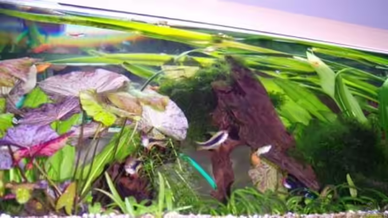 Das Aktuellste Foto von Wolfgang Sommer (1)