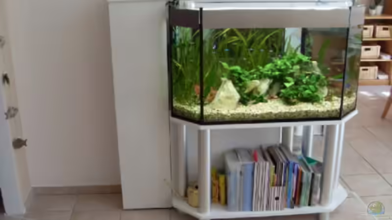 das Alte ( auch schön aber für Malawis zu klein ) von Mats (2)