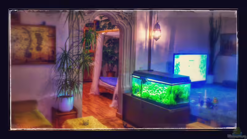 Das alte Becken. Die Verklebung ist am oberen Rand undicht geworden, daher läuft von derFalk (3)