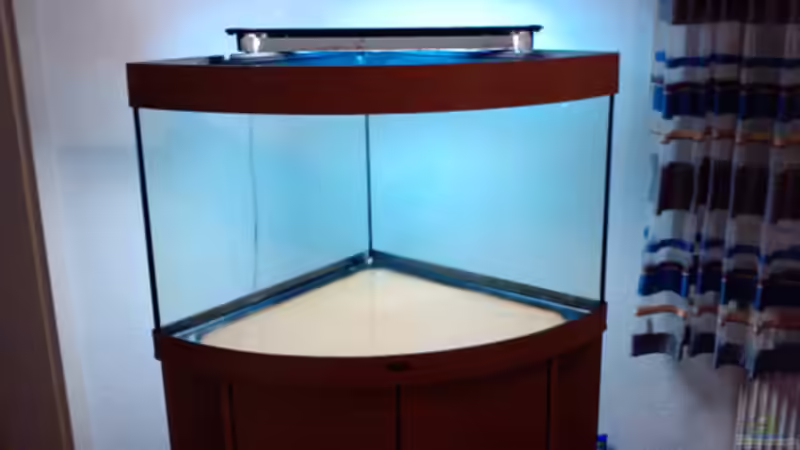 Das alte Becken, komplett gereinigt! von Thomas Ahrens (2)