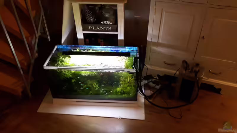 das alte Becken erstmal ´zwischengeparkt´ von Der Nicky (44)