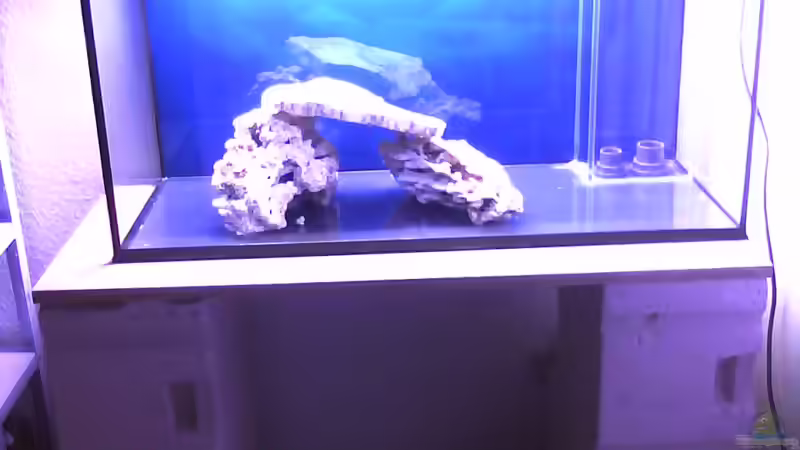 Das Aqarium noch ohne Wasser von Seewasserpanscher (9)
