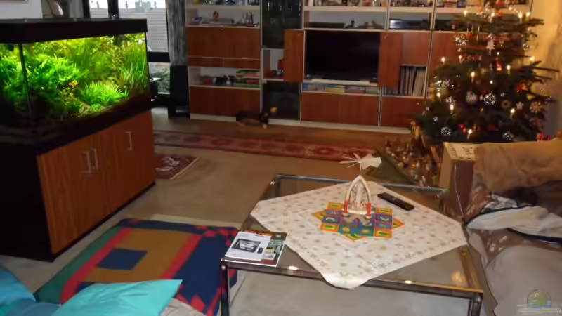 das Aquarium - eingebunden in weihnachtlichem Glanz von Bungi (15)