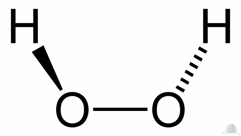 Das Aquarium desinfizieren: Klappt mit Wasserstoffperoxid
