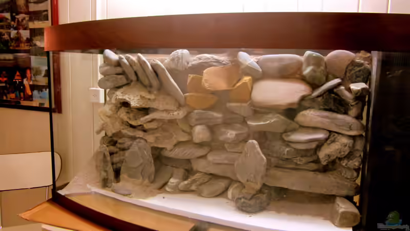 das Aquarium erstmals aufgerichtet von Mbuna (7)