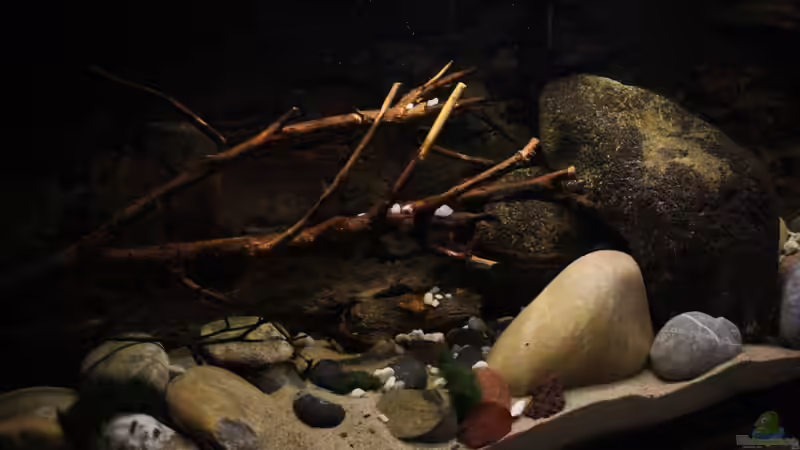 Das Aquarium hier im aufbau noch ohne Pflanzen von Florian Bandhauer (15)