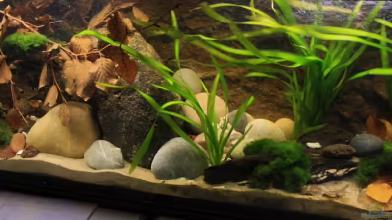 Das Aquarium im Eindruck der Länge nach fotografiert von Florian Bandhauer (13)