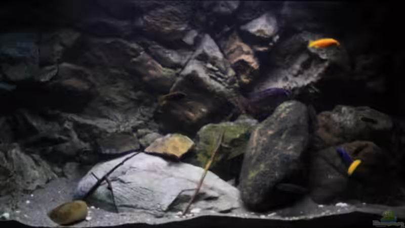 Das Aquarium im Sonnenaufgang von Florian Bandhauer (5)