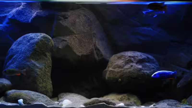 Das Aquarium in einer Frontalaufnahme,beginn Mondaufgang und Sonnenuntergang von Florian Bandhauer (2)