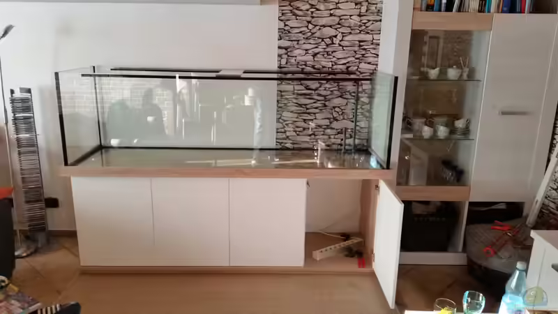 Das Aquarium ist endlich da !!! von Patrick`s Amazonas (2)