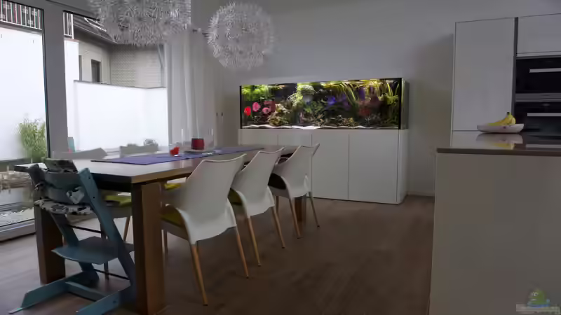 Das Aquarium ist im Alltag stets präsent. von Alexander Bienefeld (7)