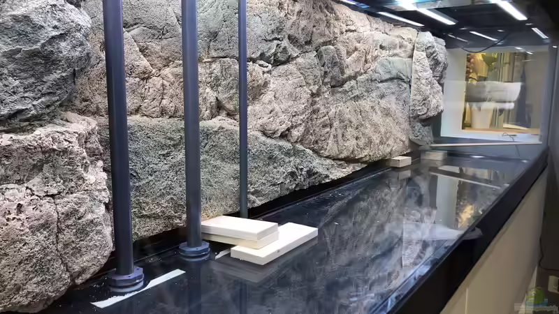 Das Aquarium mit den fertig verklebten Rückwänden. Die Holzklötze stützen die Rückwand. von Hippopotan (16)