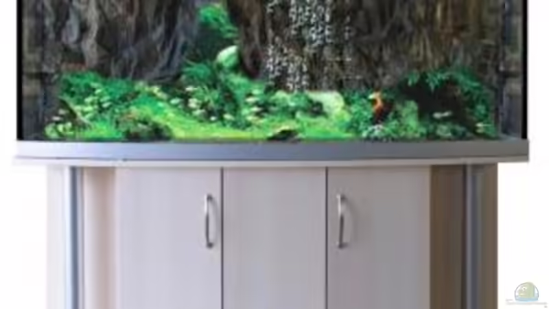 das Aquarium wird OHNE gewölbte Scheibe sein von Fabian Kaasool (2)