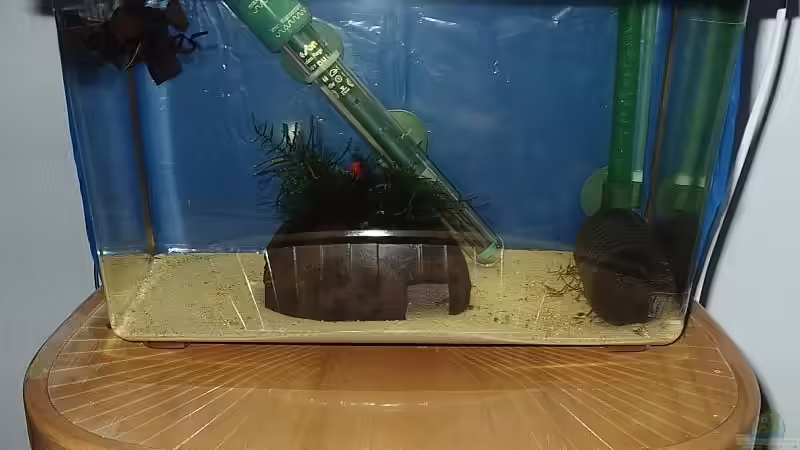 Das Aufzuchtbecken von Torsten Bullmahn (1)