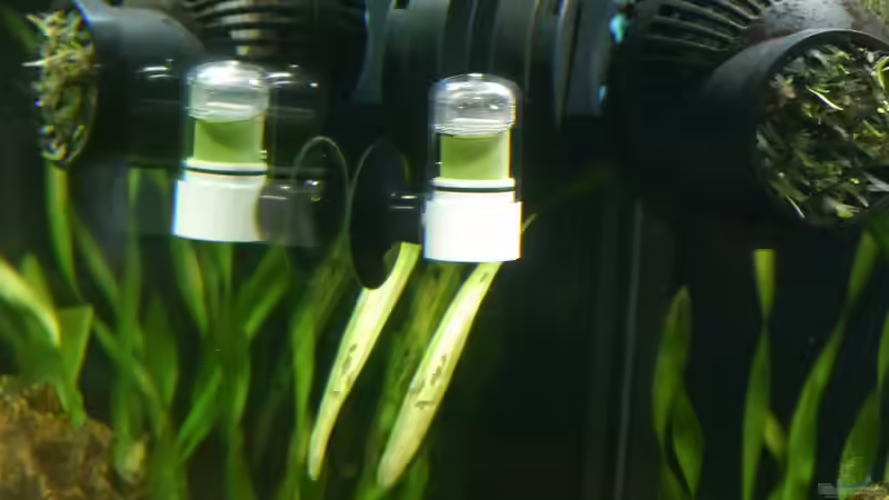 das Auge sieht mit - ein  Dropchecker  von foxi (39)