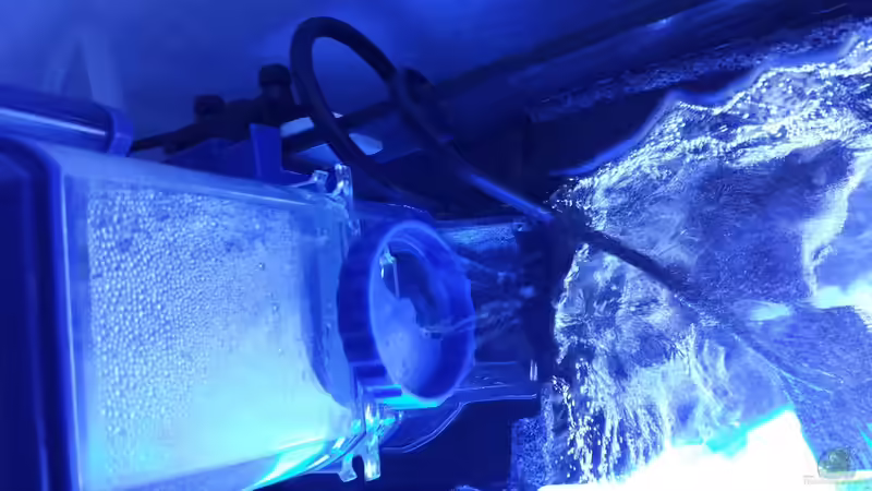 Das auströmende Wasser des Abschäumers fließt direkt ins Becken zurück von Amazonasbecken.eu (13)