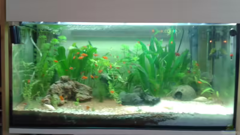 das Becken  80x35.40 von Reinhold Berk (2)