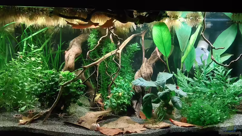 Das Becken  von DaniJeep (1)