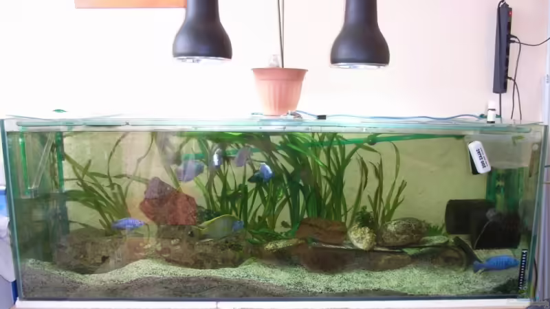 Das Becken  von Patrick Kowalski (1)