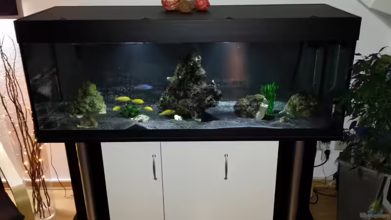 Das Becken 1.0 von Flo KA (2)