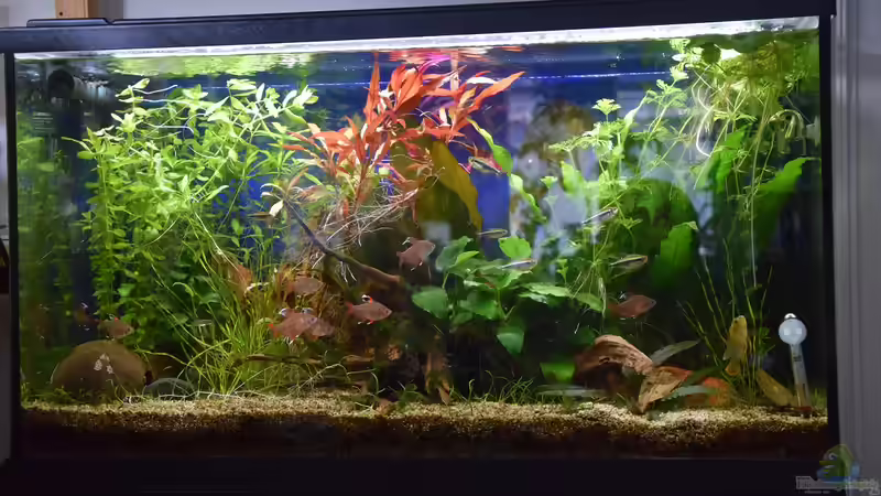 Das Becken am 09.04.2020