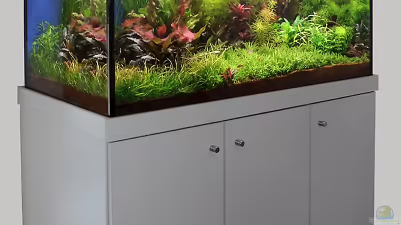 Das Becken am 16. November 2007 von flaschenbauer (3)