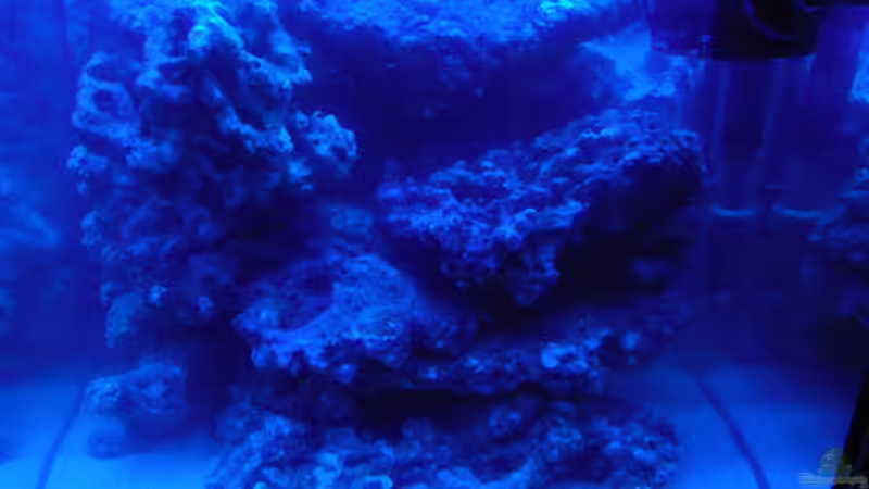 Das Becken am 16.12.2010 von Steffen Ruck (3)