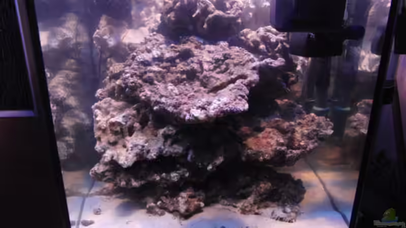 Das Becken am 17.12.2010 nach dem Umbau von Steffen Ruck (6)