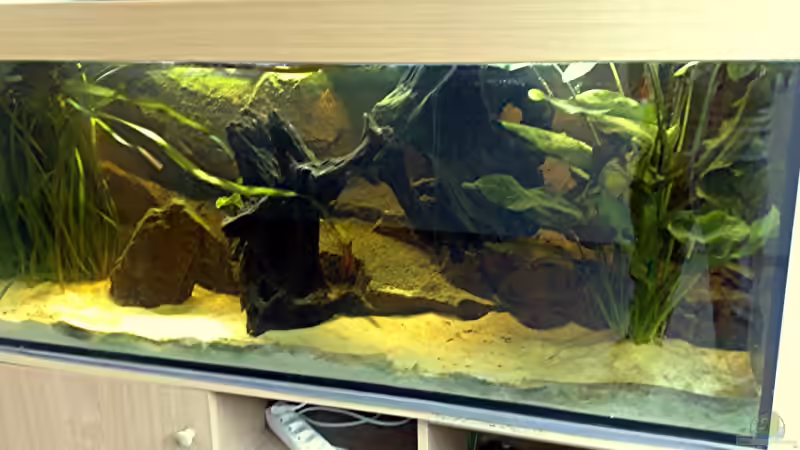 das Becken am 29.9.08