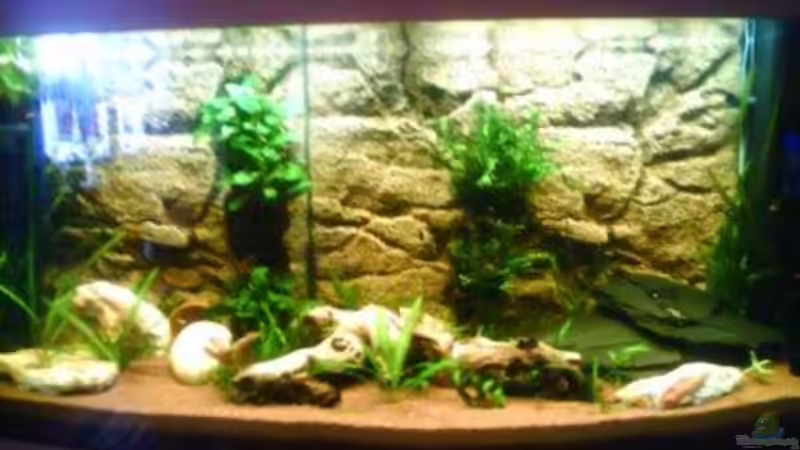 Das Becken am Anfang von Andreas Weiler (2)