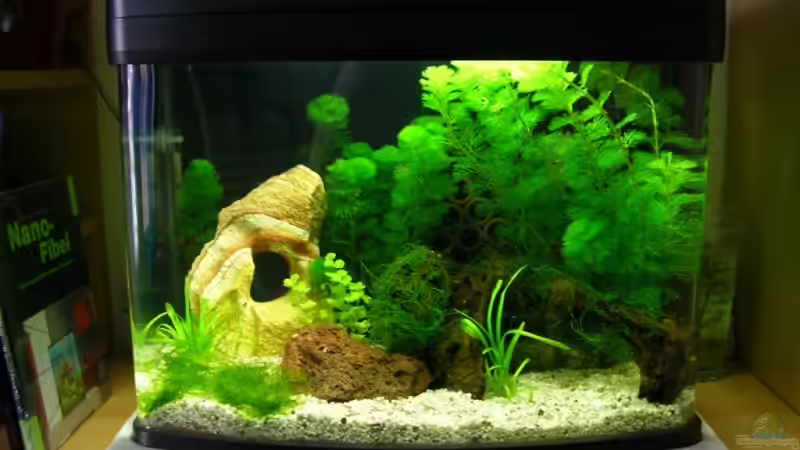 Das Becken aus der Ferne...(Alt) von Benny Müller (1)