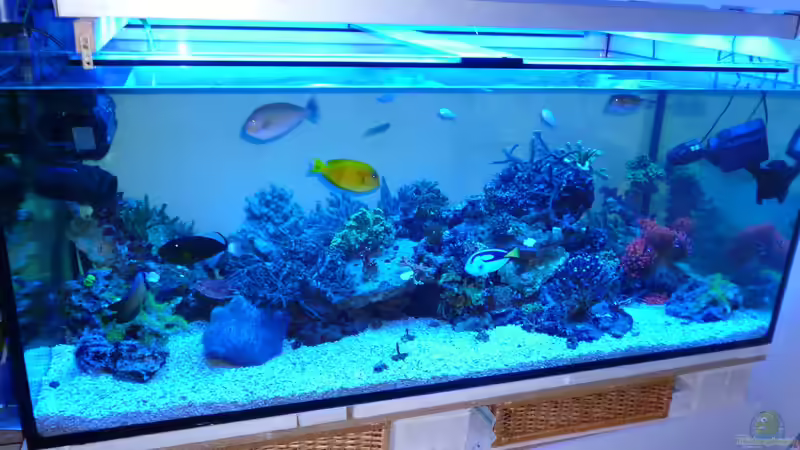 Das Becken bei Blaulicht , der Unterbau wird noch verkleidet von Norman Kutzner (1)