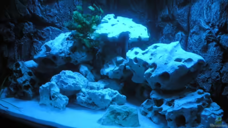 Das Becken bei Nacht von Bredo1904 (4)