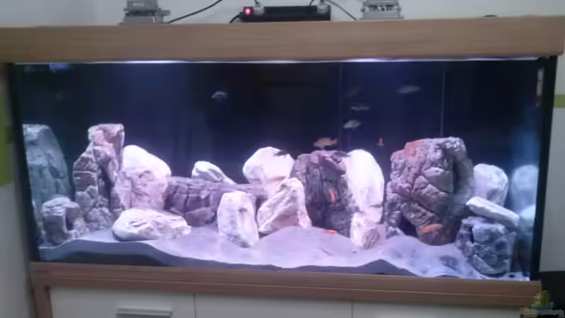 Das Becken bei Tageslicht die Beleuchtung wird noch ordentlich angeschraubt von MikeM. (2)