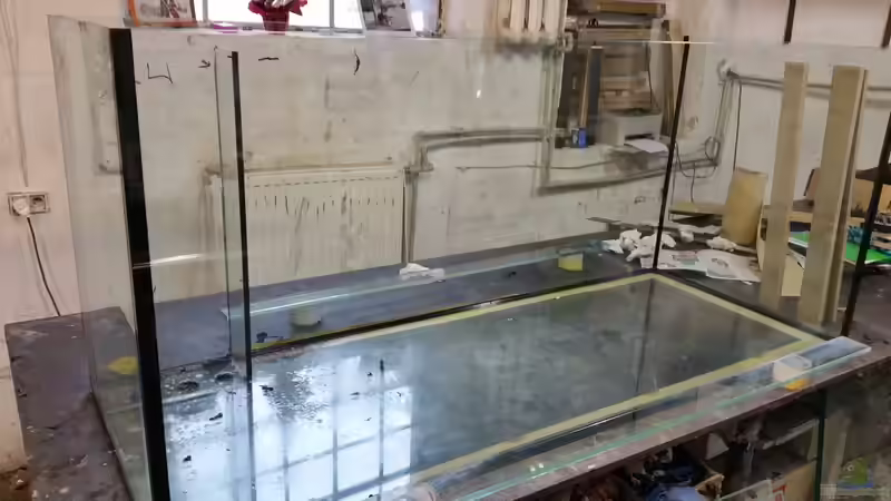 Das Becken beim Beckenbauer von Vero und David (3)