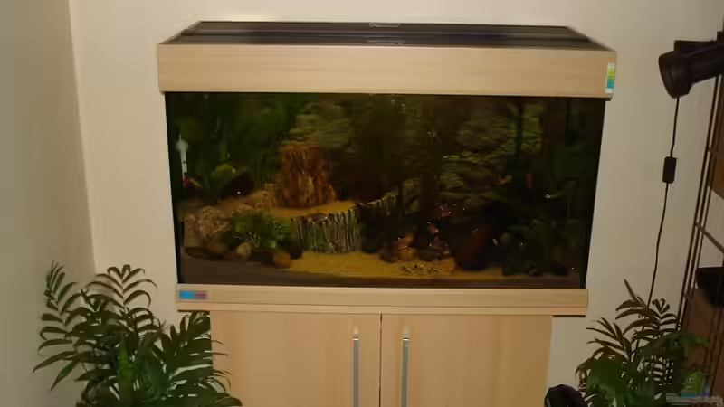 Das Becken der glühenden Augen  ;)   07.2011 von *Thorsten* (4)