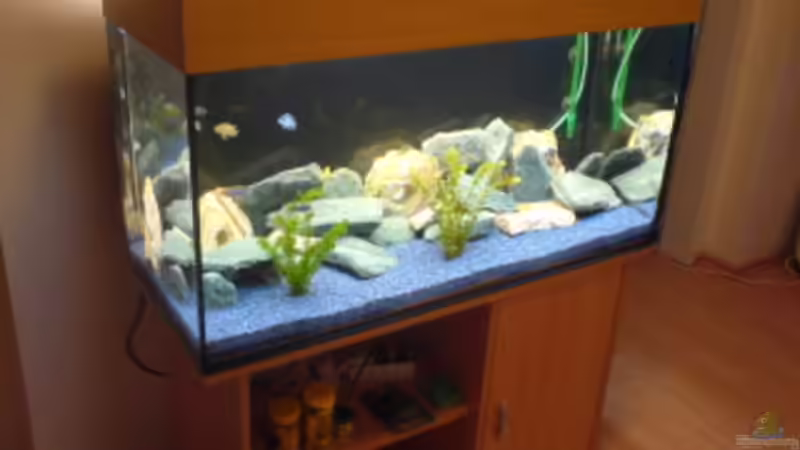 Das Becken früher mit blauem Kies Feb07 von LaChica (4)