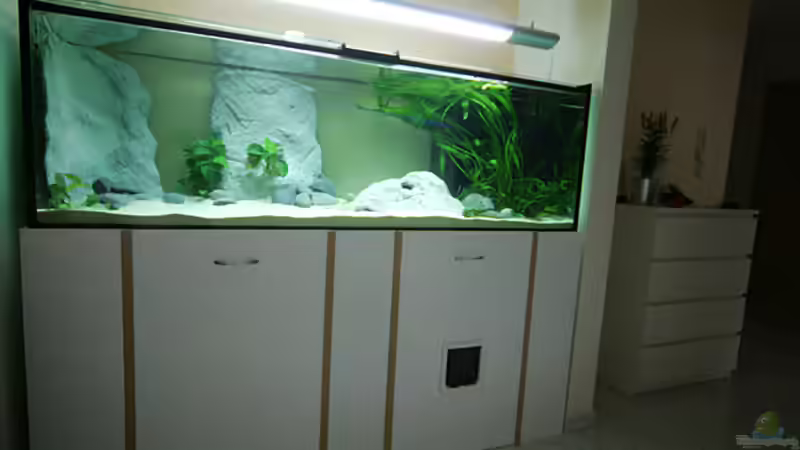 Das Becken fügt sich genau in den Windfang hinter der Haustür von Bambarsch (3)