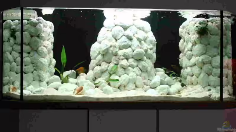 Das Becken hat den Fernseher nun ganz in die Ecke verdrängt. von Markus Tratschitt (2)