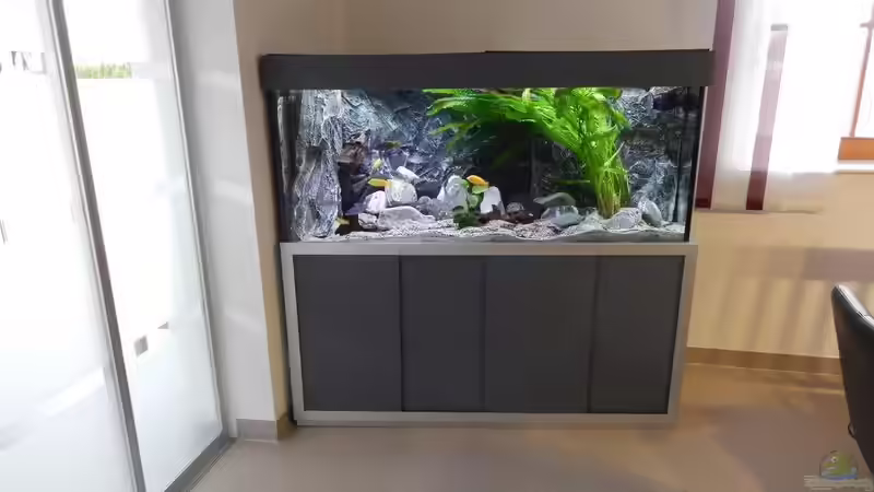 Das Becken im Esszimmer von da Dida (1)