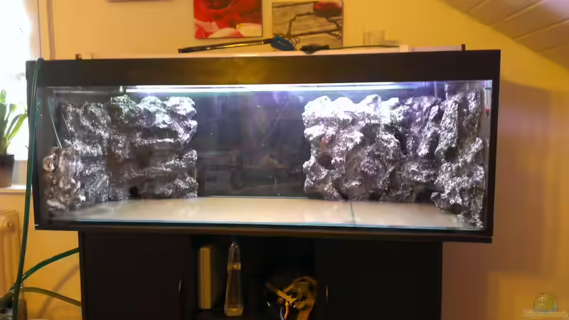 Das Becken im Rohbau - Die beiden Rückwandelemente sind bereits eingeklebt von EvilChicken (2)