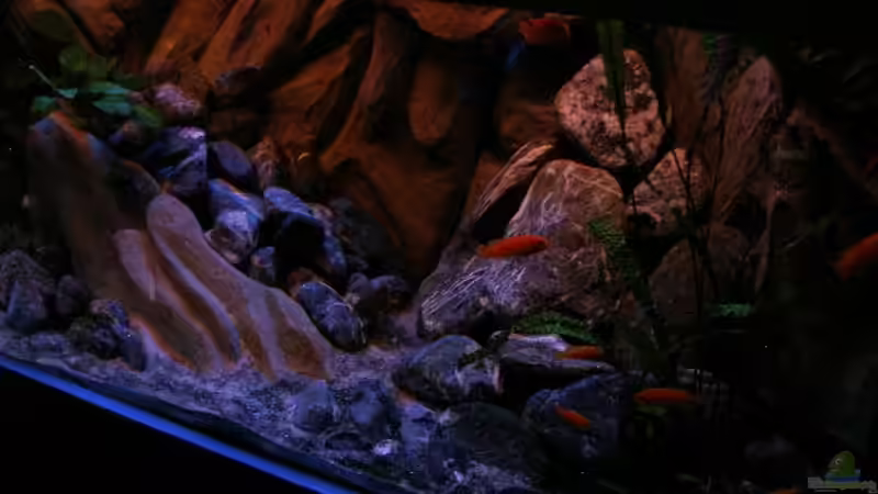 Das Becken im Wandel der Zeit.  Das Bild ist vom 19.11.2010 von Marco O. (59)