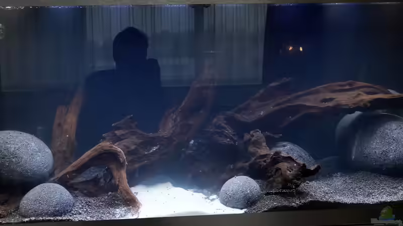 Das Becken in der Dunkeleinfahrphase von PEM (16)