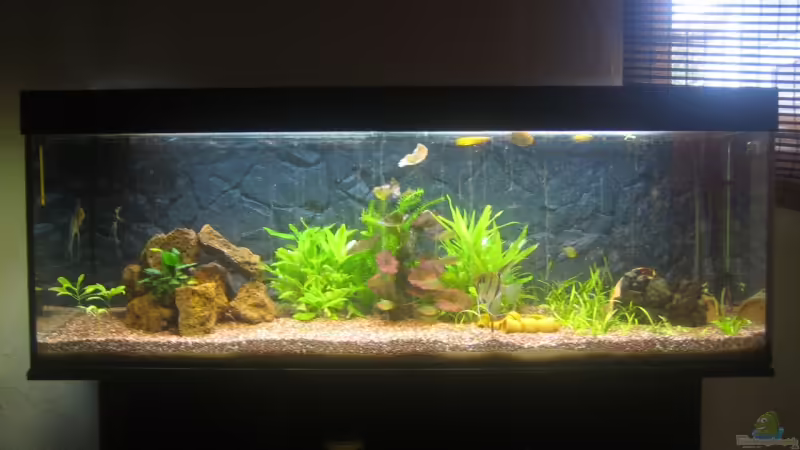 das Becken in voller Pracht