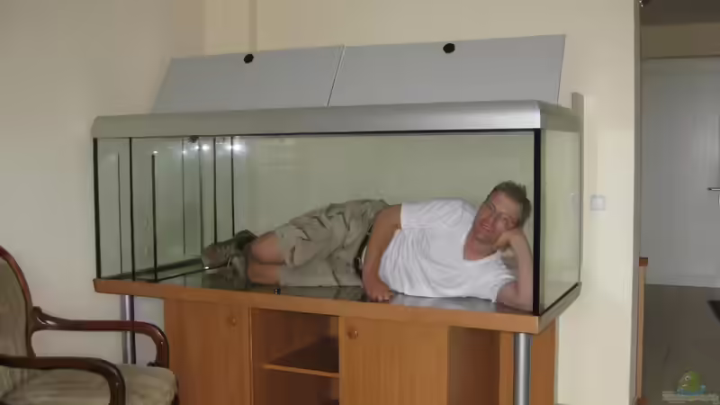 Das Becken ist angekommen! Juli 2010 von Rheinländer (26)