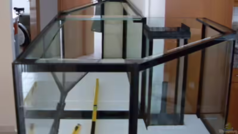 das Becken ist da ( juhu ) von Mats (5)