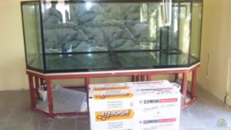 Das Becken ist gerade neu Aufgestellt von Horst Becker (12)