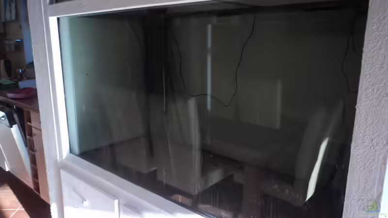 Das Becken ist leer... Anfang 2012 von Michael Boeck (8)