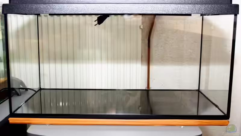 Das Becken (leer) im Kaufzustand am 18.05.2011 von Micha (3)