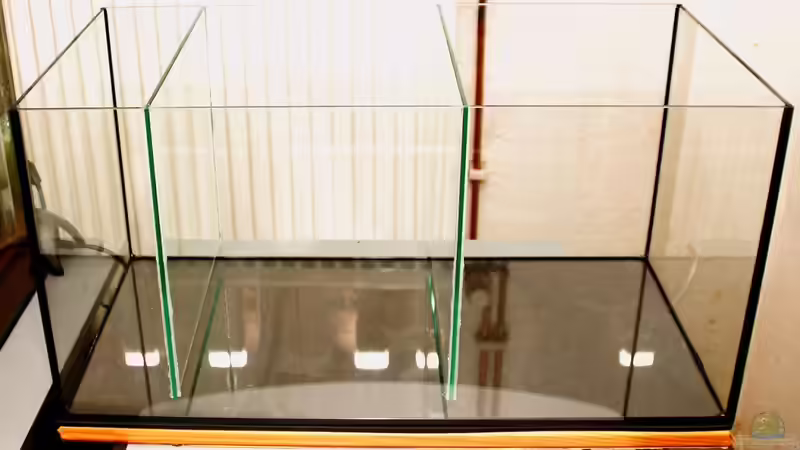 Das Becken (leer) nach Einkleben der Trennscheiben von Micha (4)